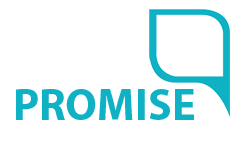 promise construct